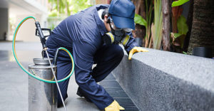 Pest Control Man Spraying Exterior of Property