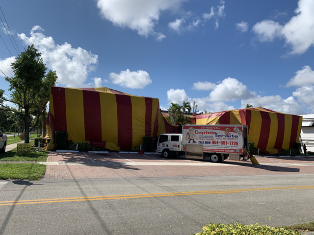 Red and yellow fumigation tent on top of home and a van