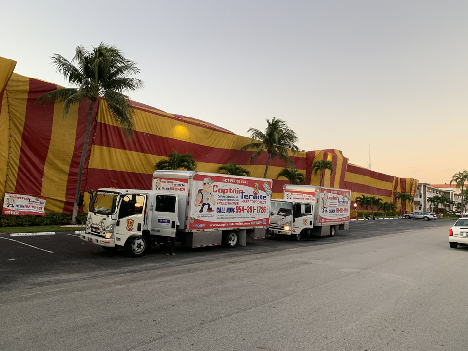 Two vans and a yellow and red fumigation tent over building