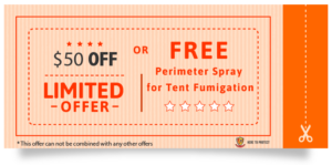 Limited Offer for Pest Control Services Coupon