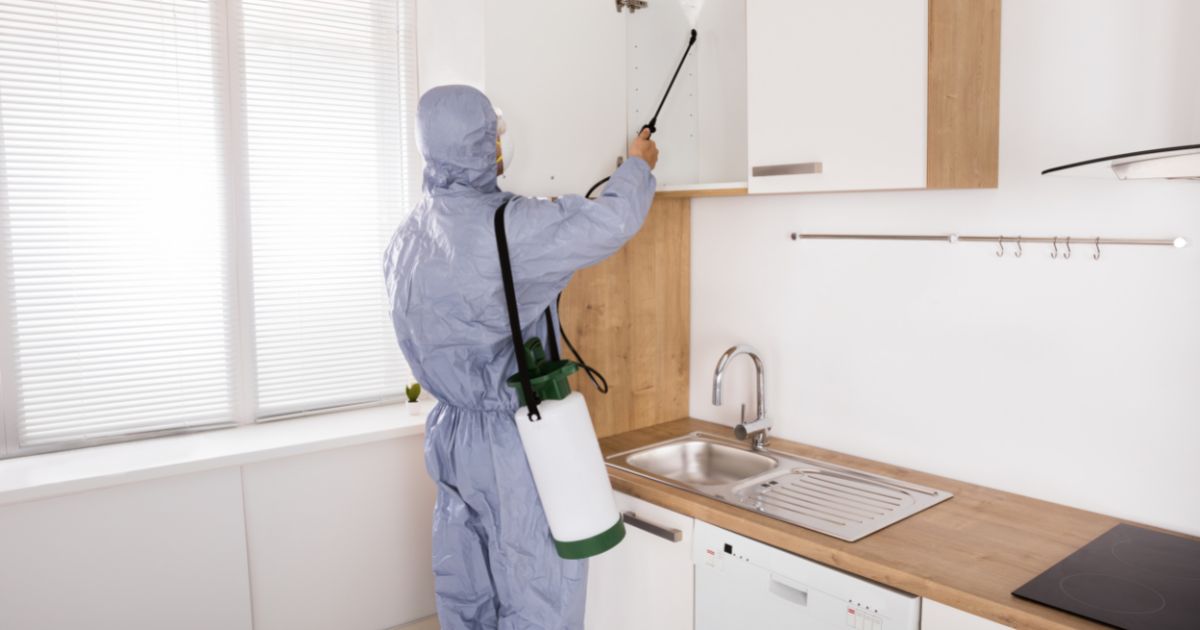 Worker spraying inside cabinets