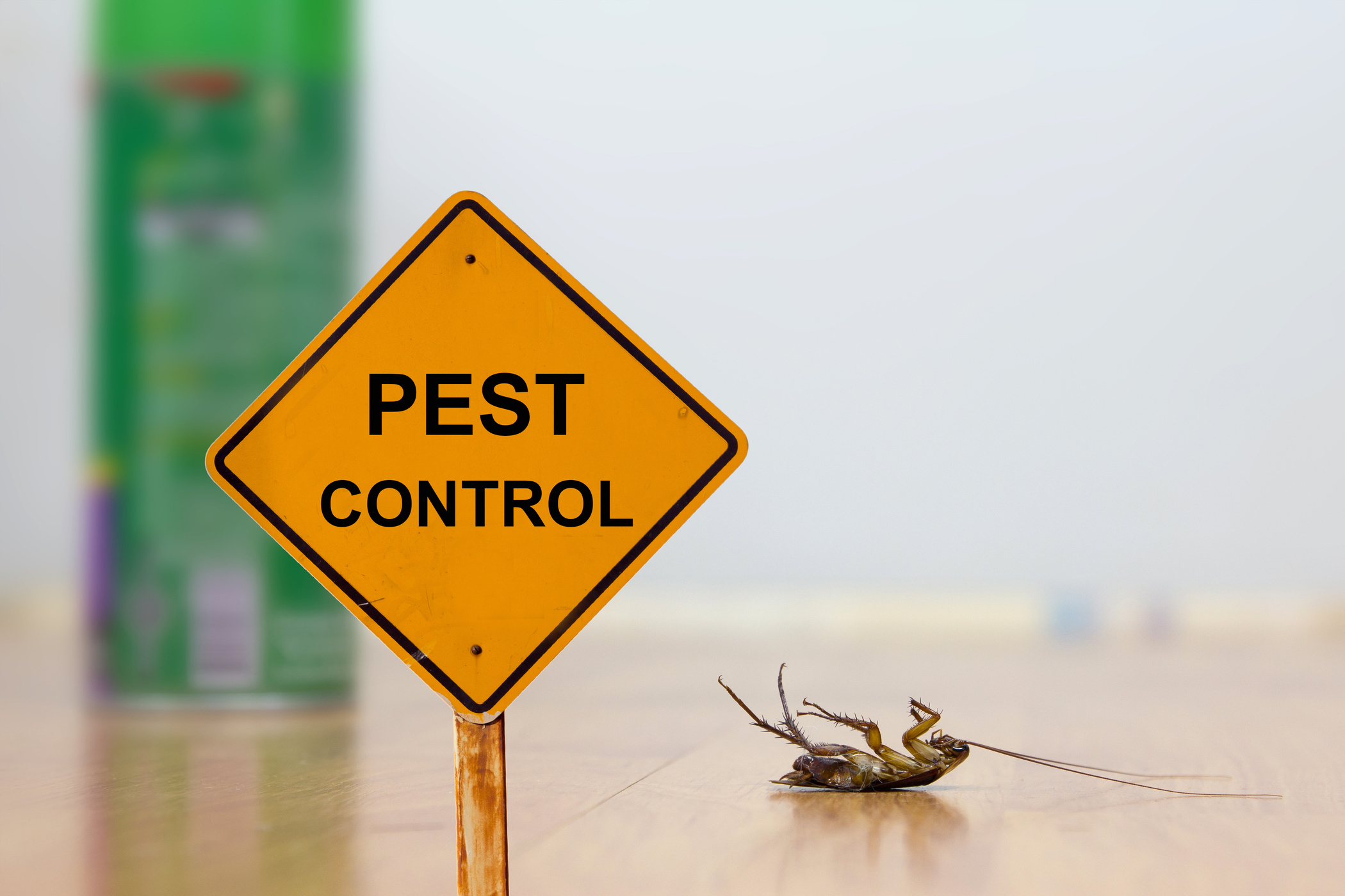 Dead cockroach on floor with caution sign pest control