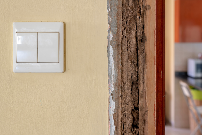 Plinth Block at a Door damaged by termites beside light switch