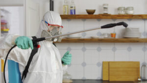 pest control expert working on disinfection in commercial pest control services